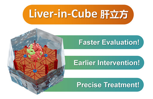Liver-in-Cube