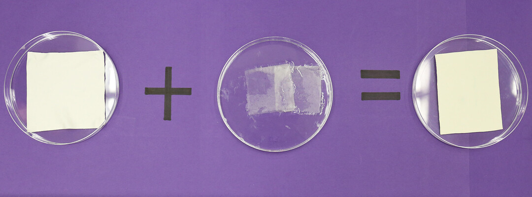 Novel Omniphobic Porous Membranes and Coatings